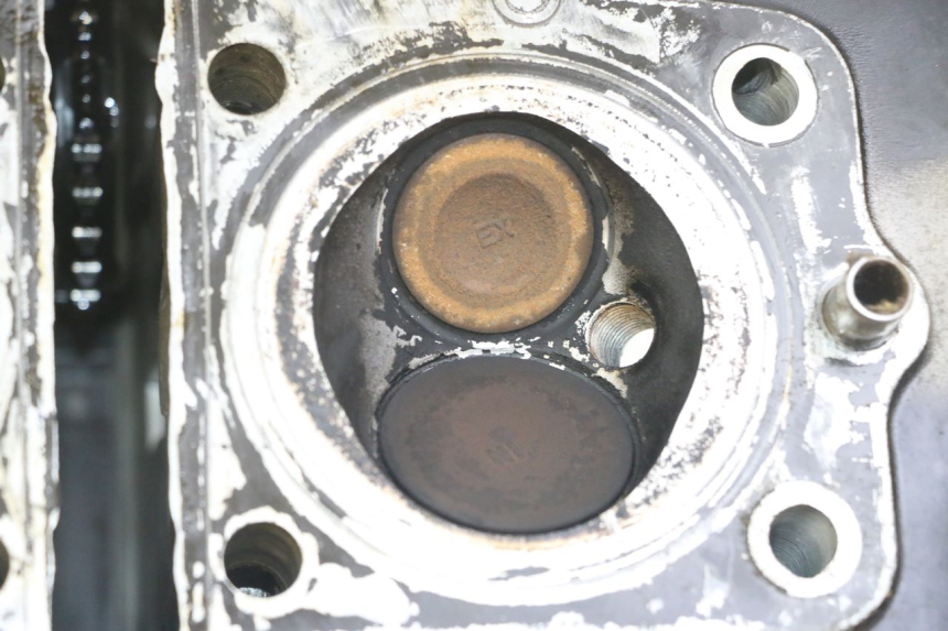 photo de ZYLINDERKOPF SUZUKI GS GSE 500 (2001 - 2003)