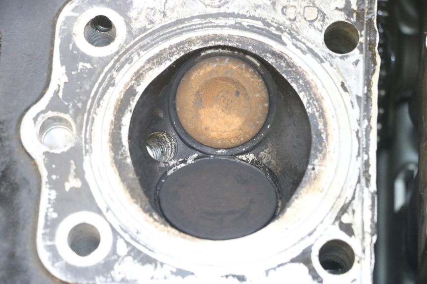 photo de ZYLINDERKOPF SUZUKI GS GSE 500 (2001 - 2003)