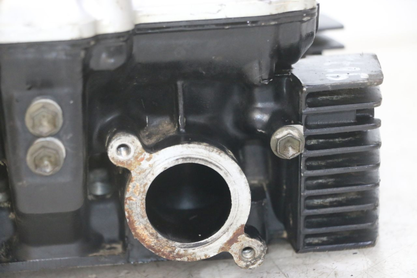 photo de ZYLINDERKOPF SUZUKI GS GSE 500 (2001 - 2003)
