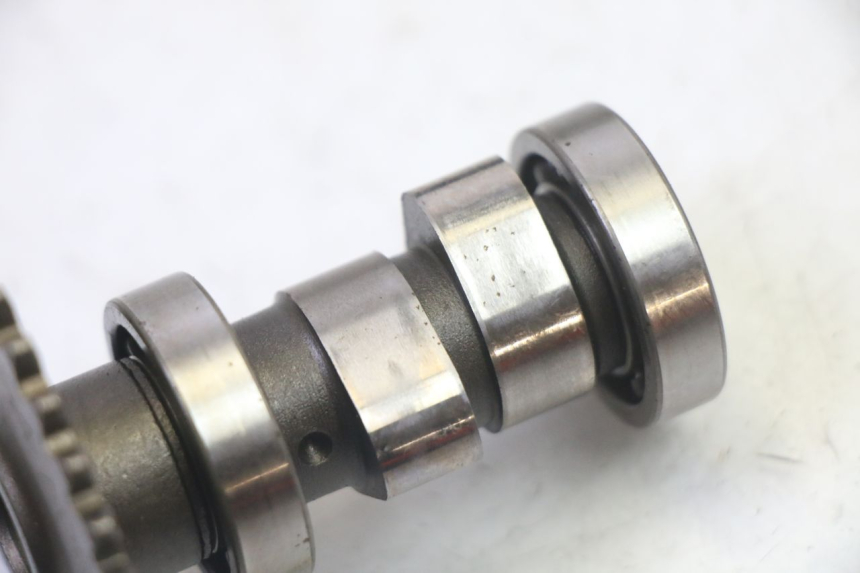 photo de ZYLINDERKOPF KYMCO LIKE 4T 50 (2019 - 2025)