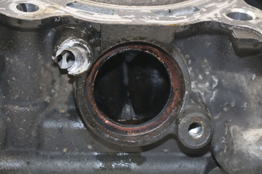 photo de ZYLINDERKOPF YAMAHA TDM ABS 900 (2002 - 2014)