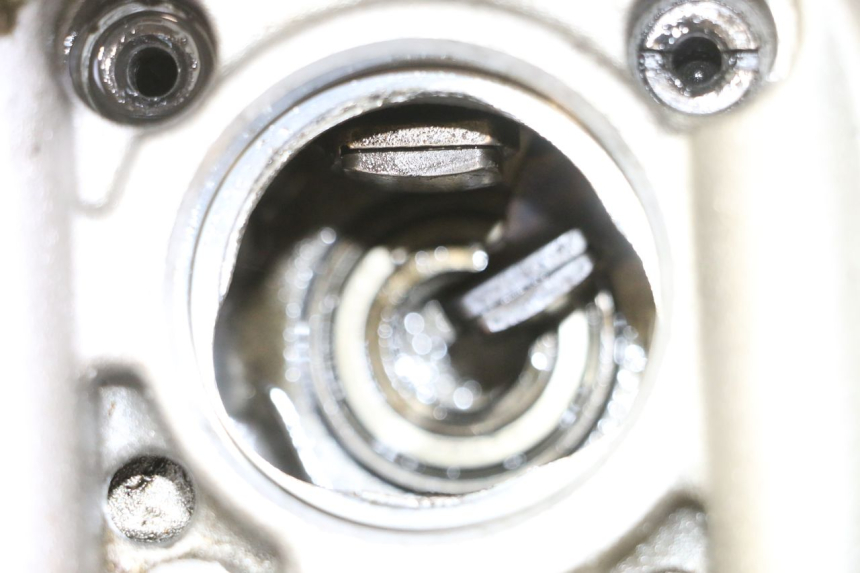 photo de ZYLINDERKOPF YAMAHA YFM R RAPTOR 250 (2008 - 2014)