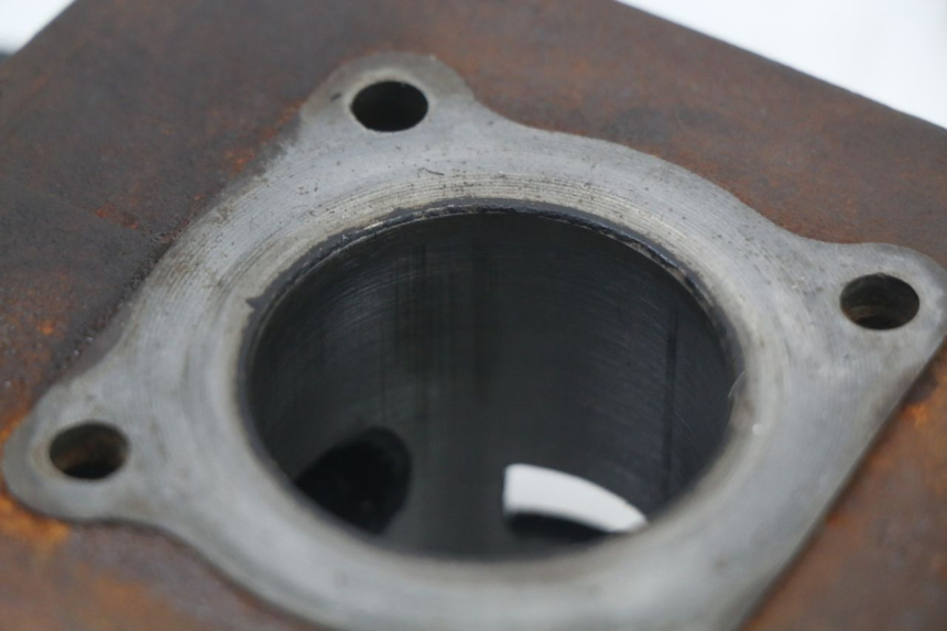 photo de ZYLINDER PEUGEOT LUDIX 50 (2005 - 2007)