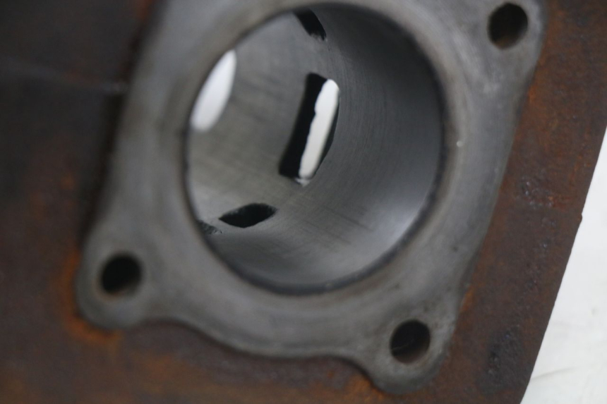 photo de ZYLINDER PEUGEOT LUDIX 50 (2005 - 2007)