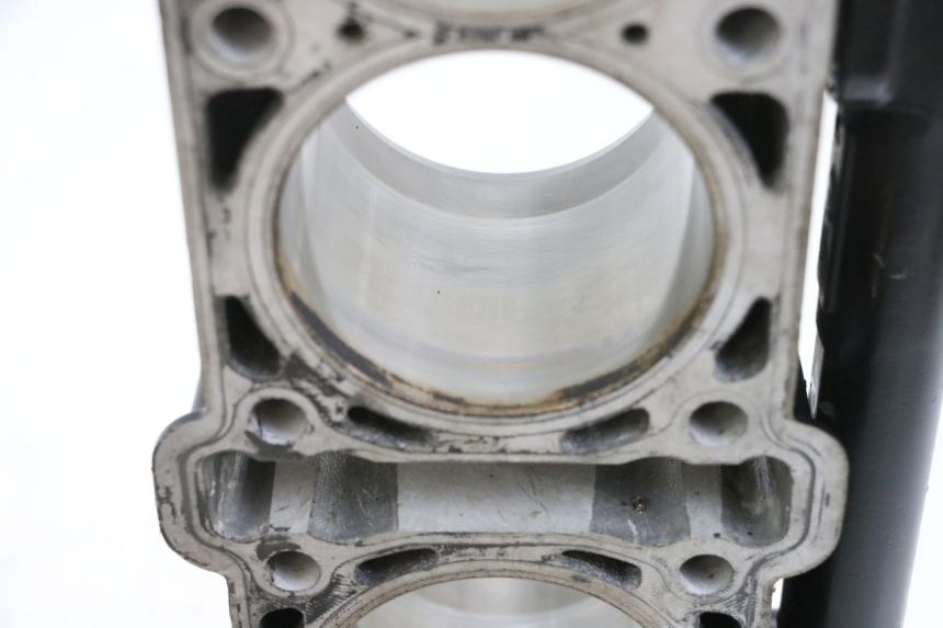 photo de ZYLINDER KOLBEN MV AGUSTA BRUTALE R WALLY 910 (2008 - 2008) - Charakteristische Merkmale