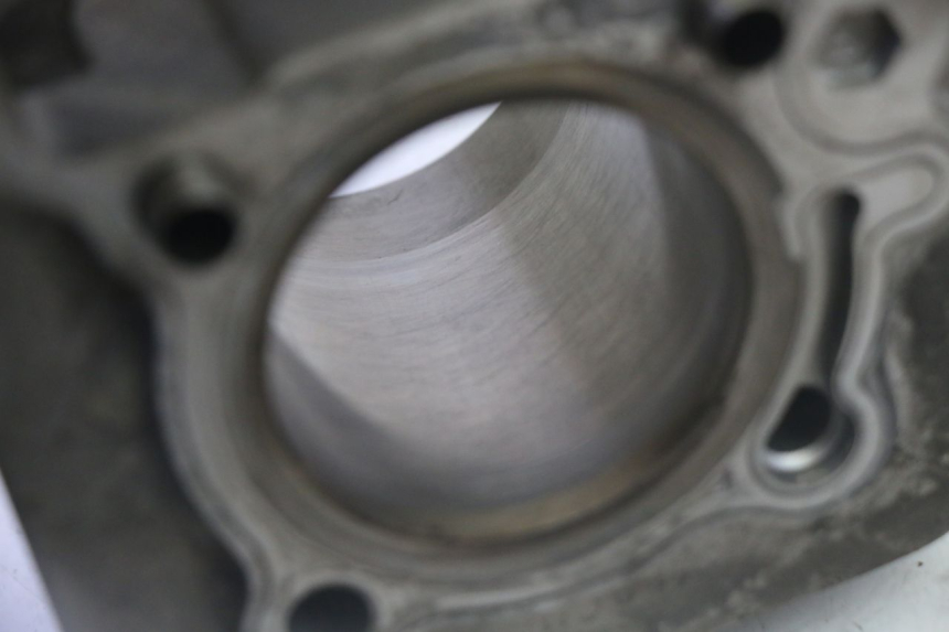 photo de ZYLINDER KOLBEN DAELIM HISTORY 125 (2001 - 2002)