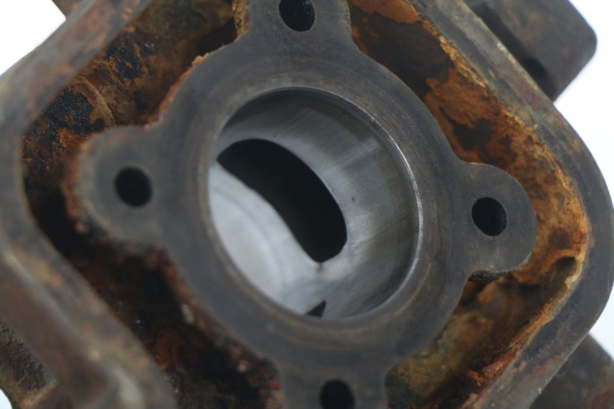 photo de ZYLINDER KOLBEN PEUGEOT LUDIX BLASTER 50 (2006 - 2014)