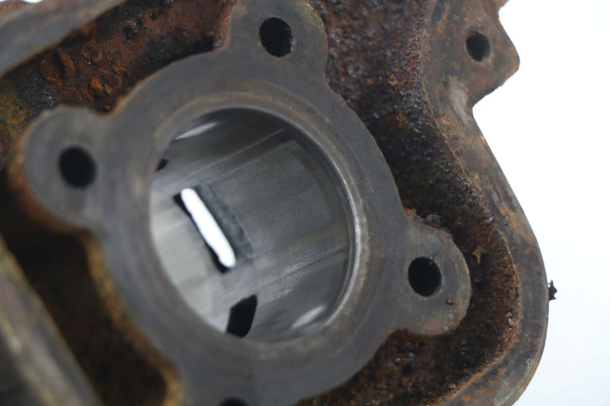 photo de ZYLINDER KOLBEN PEUGEOT LUDIX BLASTER 50 (2006 - 2014)