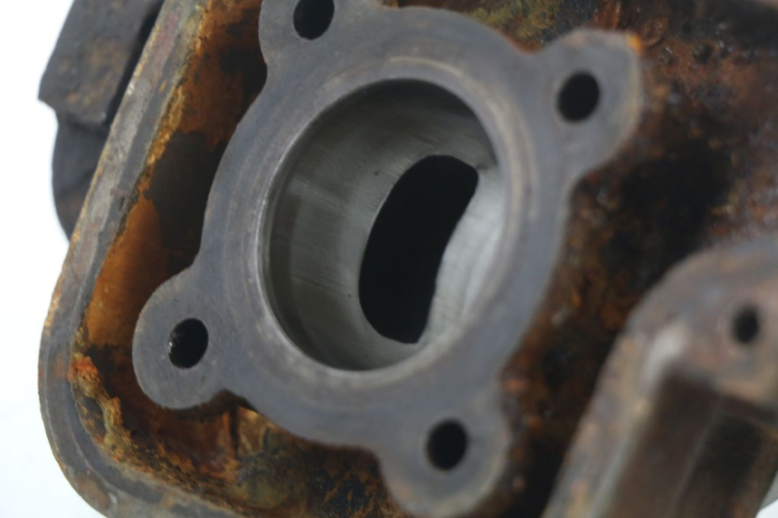 photo de ZYLINDER KOLBEN PEUGEOT LUDIX BLASTER 50 (2006 - 2014)