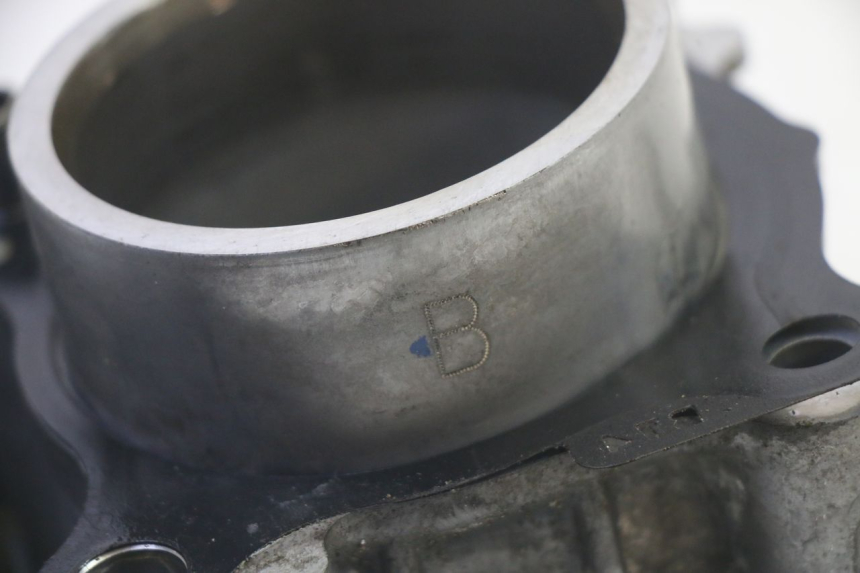 photo de ZYLINDER KOLBEN YAMAHA TRICITY 300 (2020 - 2024) - Gesamtansicht des Produkts