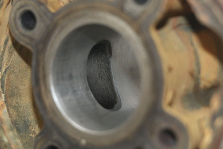 photo de ZYLINDER SHERCO SM-R 50 (2018 - 2021)