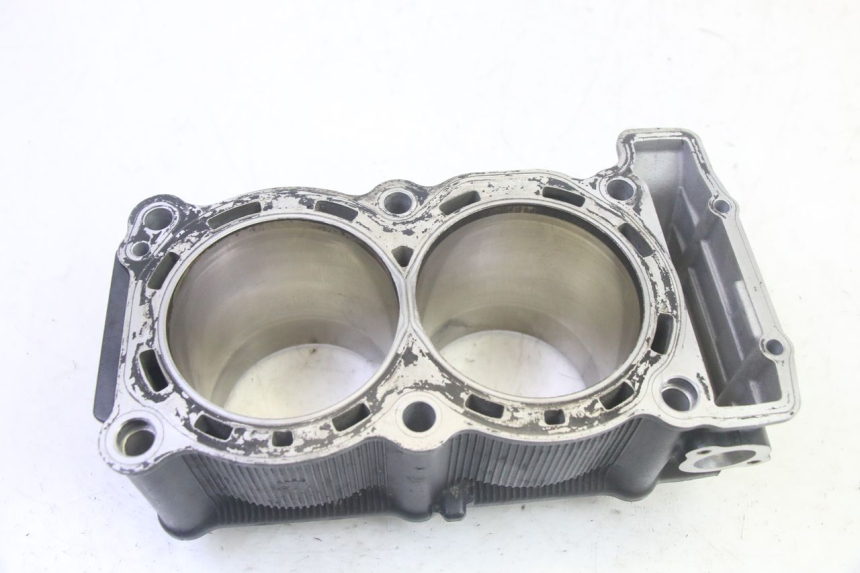 photo de ZYLINDER YAMAHA TDM ABS 900 (2002 - 2014) - Zoom auf Gebrauchszustand