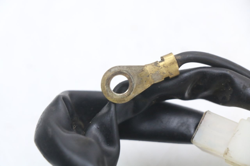 photo de ANLASSER TNT MOTOR ROMA 10' 2T 50 (2011 - 2018)