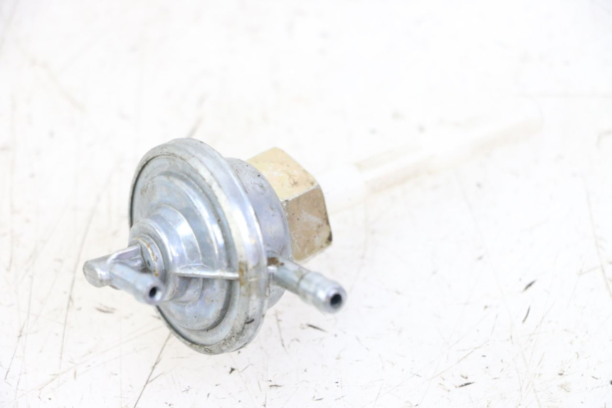 photo de TANKUNTERDRUCK TNT MOTOR BOSTON 4T 50 (2018 - 2025)