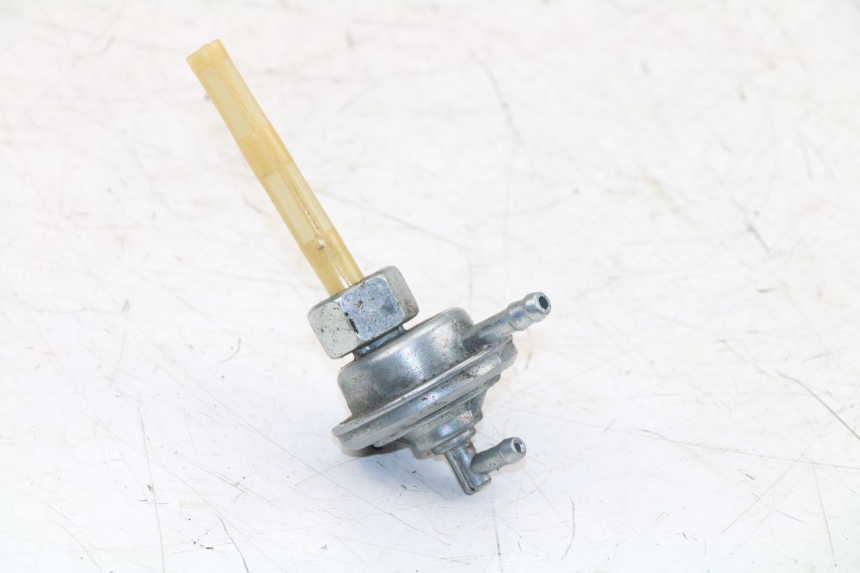 photo de TANKUNTERDRUCK JM MOTORS OLDIES 4T 50 (2010 - 2020)