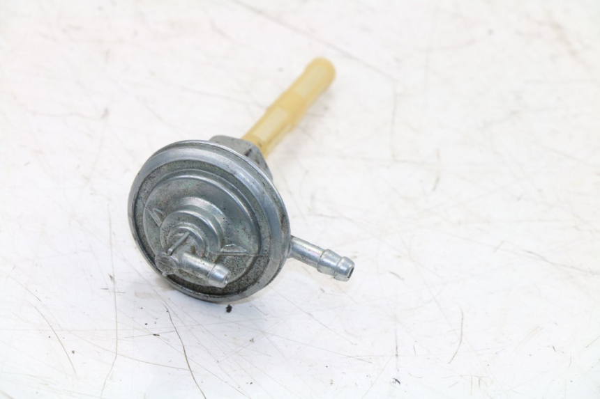 photo de TANKUNTERDRUCK JM MOTORS OLDIES 4T 50 (2010 - 2020)