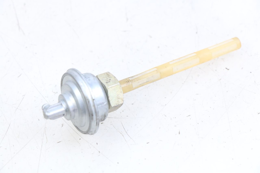 photo de TANKUNTERDRUCK HONDA SCV LEAD 100 (2003 - 2007)