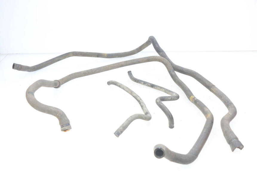 photo de KÜHLERSCHLAUCH PIAGGIO MP3 LT 300 (2010 - 2016)