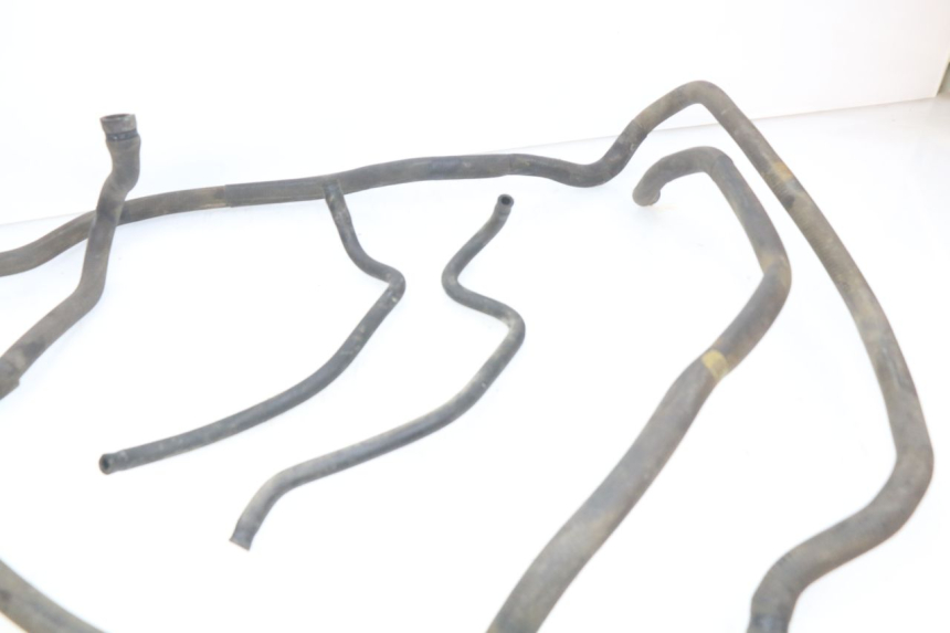 photo de KÜHLERSCHLAUCH PIAGGIO MP3 LT 300 (2010 - 2016)