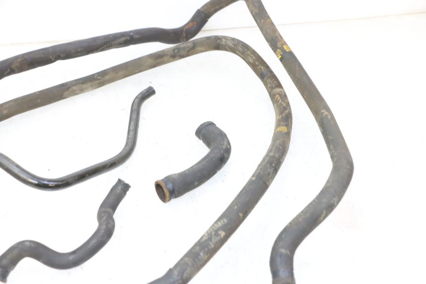 photo de KÜHLERSCHLAUCH PIAGGIO MP3 LT 300 (2010 - 2016)