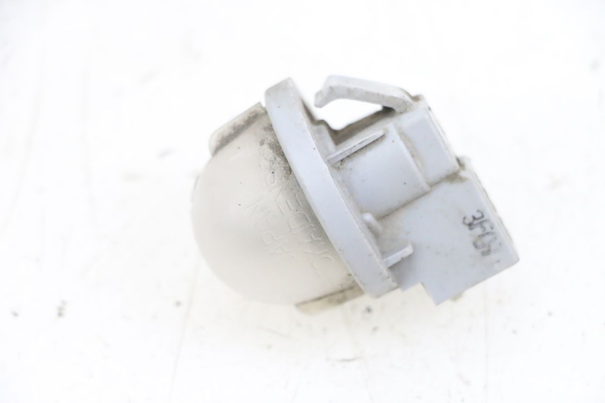 photo de KENNZEICHENBELEUCHTUNG SUZUKI BURGMAN 650 (2013 - 2020)