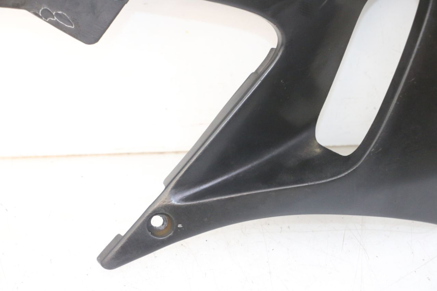 photo de KÜHLER VERKLEIDUNG YAMAHA TDR DELTABOX 125 (1993 - 2003)