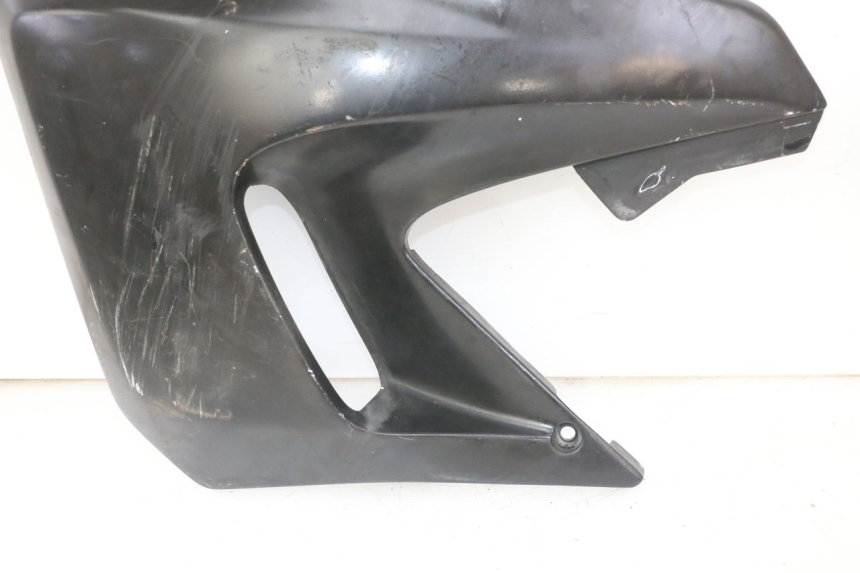 photo de KÜHLER VERKLEIDUNG YAMAHA TDR DELTABOX 125 (1993 - 2003)