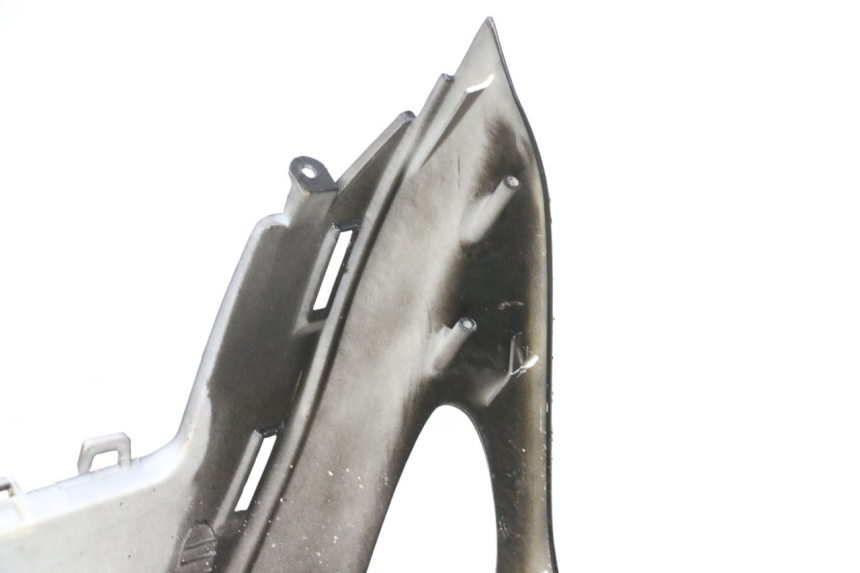 photo de FRONTVERKLEIDUNG  LONGJIA DIGITA 4T 50 (2019 - 2022) - Technische Nahaufnahme