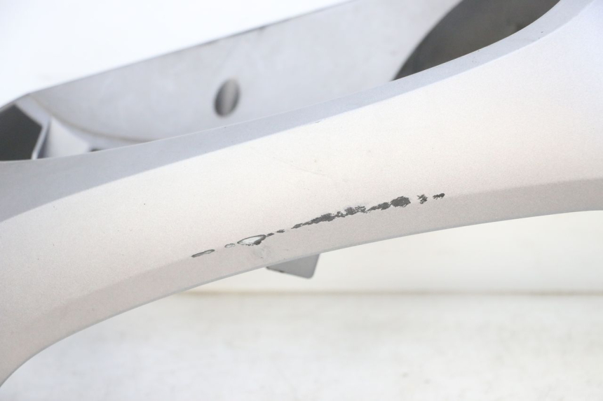 photo de FRONTVERKLEIDUNG  SYM FIDDLE 3 III 125 (2014 - 2020) - Fokus auf die Struktur