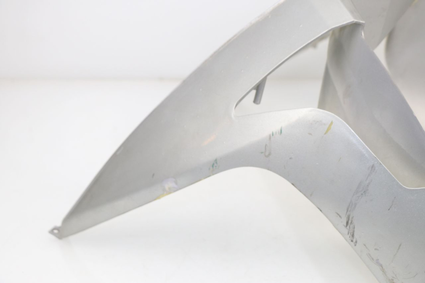 photo de FRONTVERKLEIDUNG  REVATTO FUTURA GT 125 (2006 - 2008)