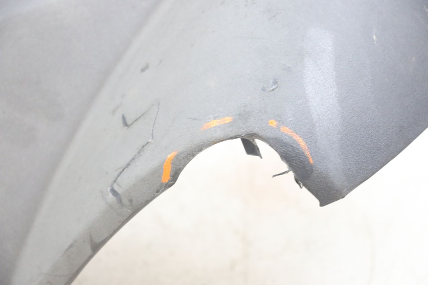 photo de FRONTVERKLEIDUNG  PEUGEOT GEOPOLIS RS 125 (2007 - 2009)