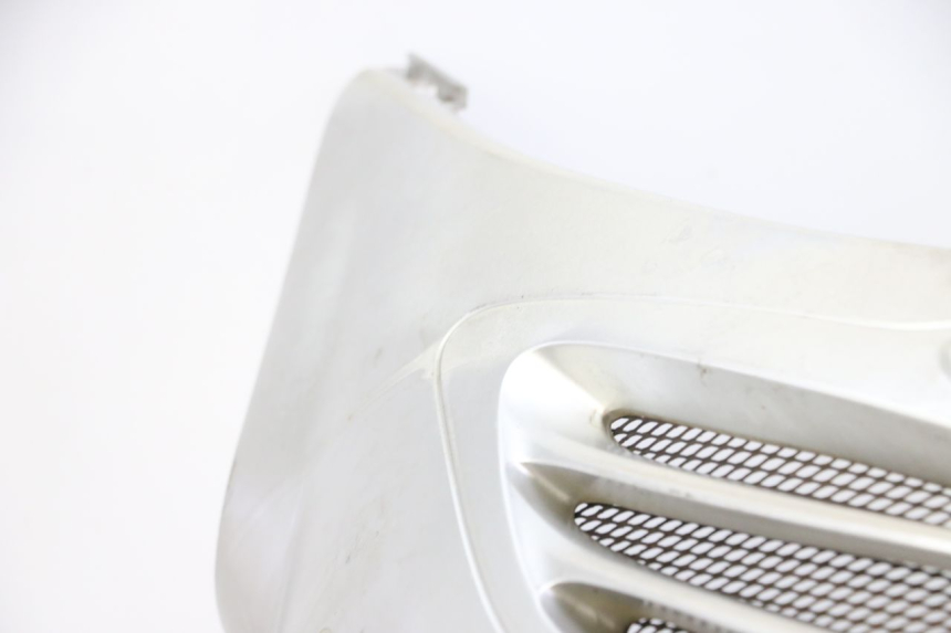 photo de FRONTVERKLEIDUNG  KYMCO GRAND DINK 125 (2002 - 2007)