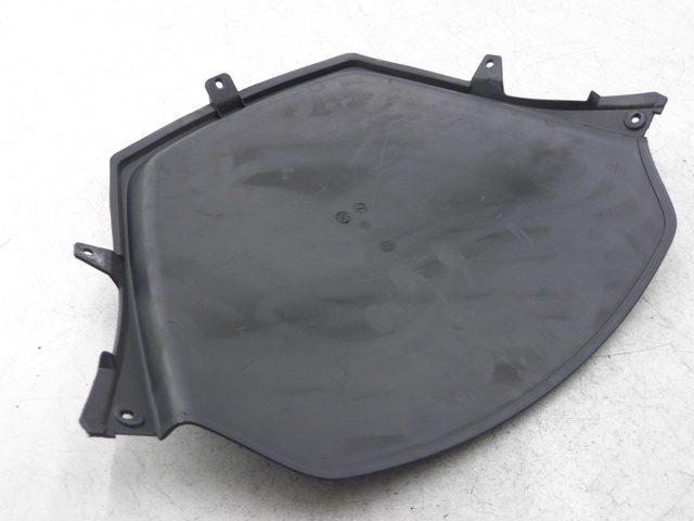 photo de INNERE FRONTVERKLEIDUNG PIAGGIO MP3 LT 300 (2010 - 2016)