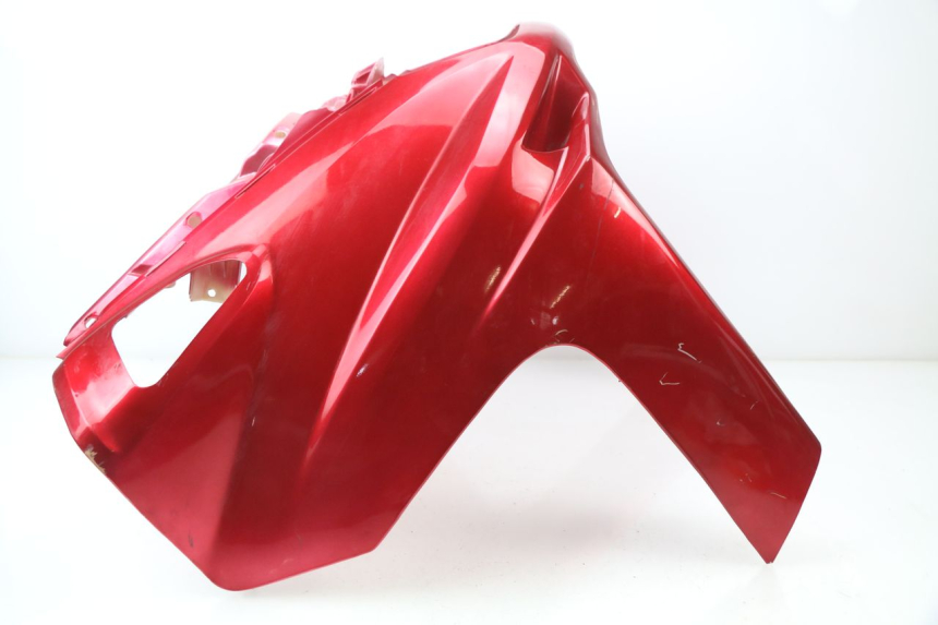photo de FRONTVERKLEIDUNG  LINHAI MONARCH 125 (2003 - 2005)