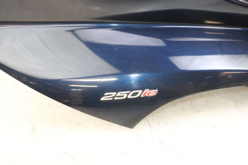 photo de FRONTVERKLEIDUNG  PIAGGIO MP3 RL 250 (2007 - 2010) - Charakteristische Merkmale