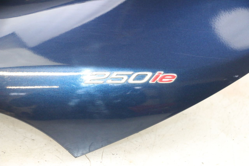 photo de FRONTVERKLEIDUNG  PIAGGIO MP3 RL 250 (2007 - 2010) - Hochauflösende Nahaufnahme