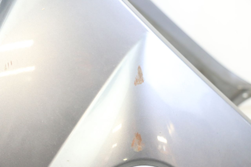photo de FRONTVERKLEIDUNG  PEUGEOT SATELIS 250 (2006 - 2012)