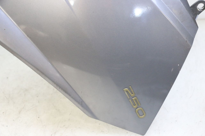 photo de FRONTVERKLEIDUNG  PEUGEOT SATELIS 250 (2006 - 2012)