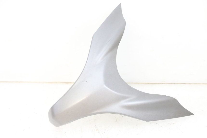 photo de VORDERES OBERE GESICHT SUZUKI BURGMAN 650 (2013 - 2020)