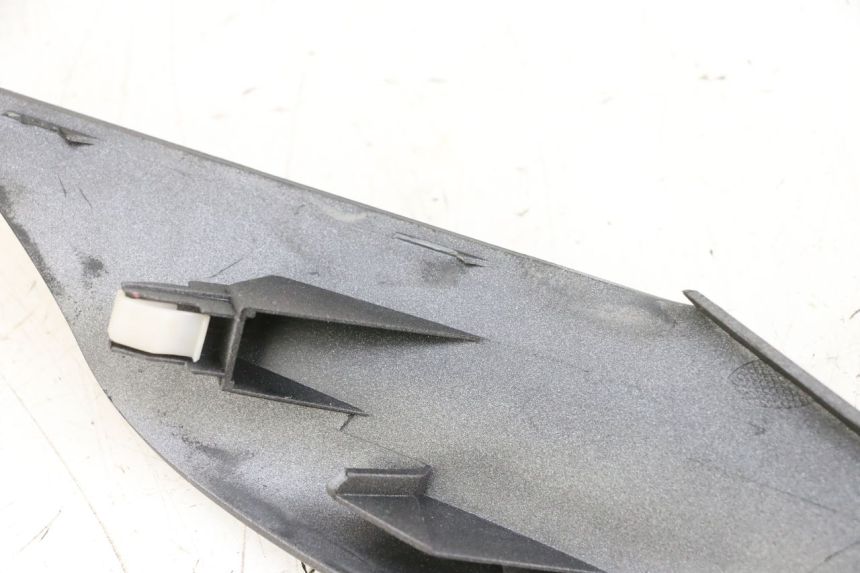 photo de VORDERES OBERE GESICHT SUZUKI BURGMAN 650 (2013 - 2020)