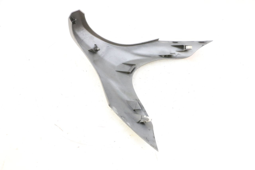 photo de VORDERES OBERE GESICHT SUZUKI BURGMAN 650 (2013 - 2020)