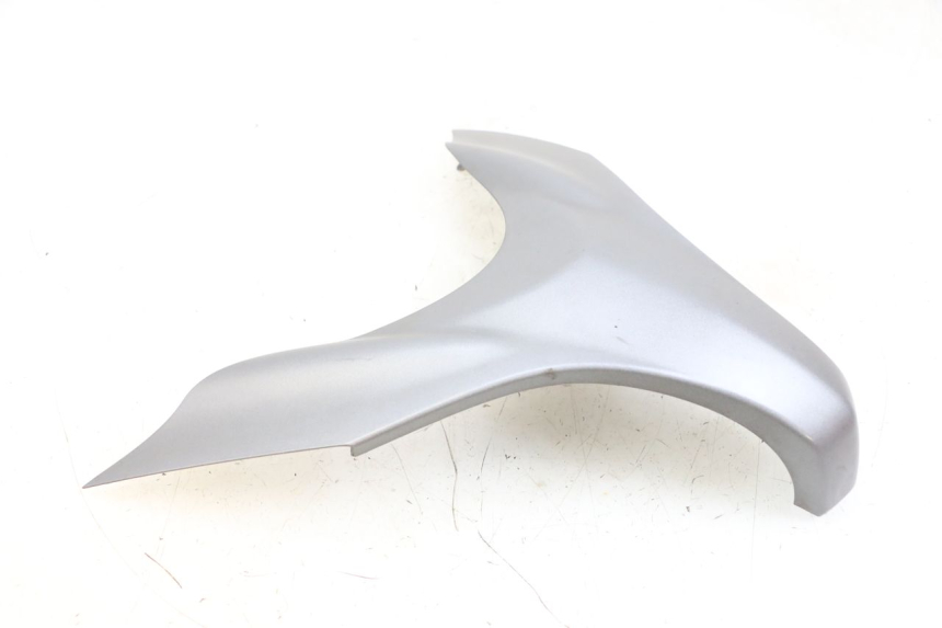 photo de VORDERES OBERE GESICHT SUZUKI BURGMAN 650 (2013 - 2020)