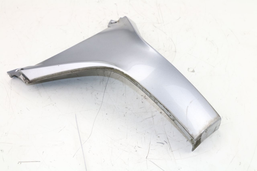 photo de FRONTVERKLEIDUNG OBEN HONDA FES S-WING SWING 125 (2007 - 2015)