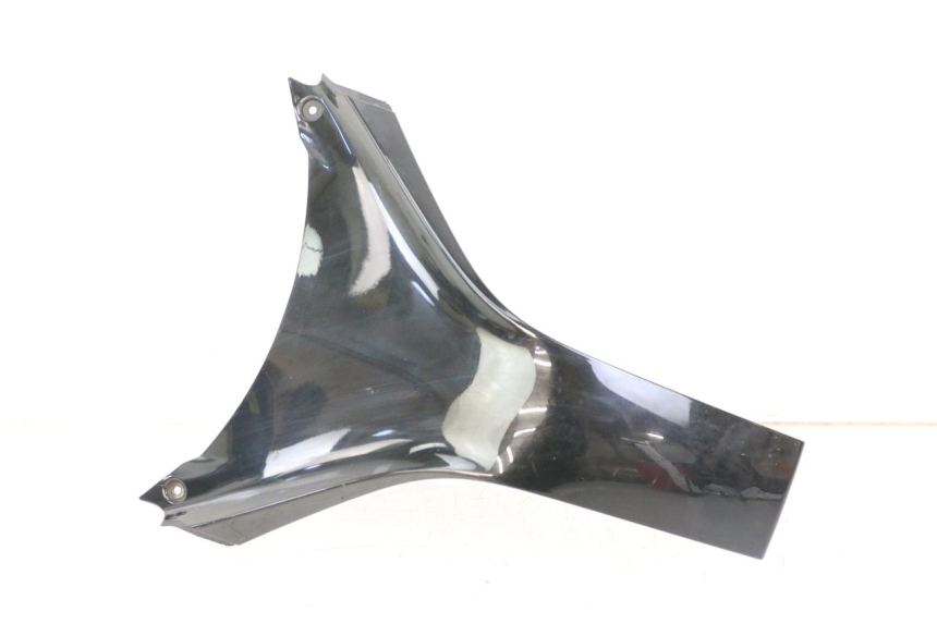 photo de FRONTVERKLEIDUNG OBEN HONDA FES S-WING SWING ABS 125 (2007 - 2015)