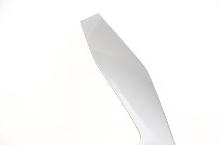 photo de FRONTVERKLEIDUNG OBEN PIAGGIO MP3 LT 300 (2010 - 2016)