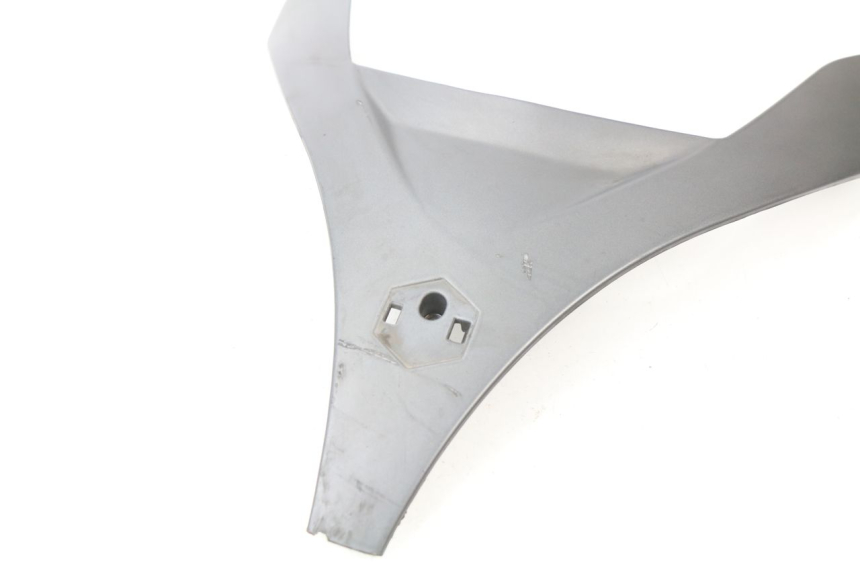 photo de OBERES VORDERTEIL PIAGGIO MP3 500 (2011 - 2015)