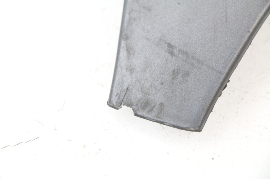 photo de OBERES VORDERTEIL PIAGGIO MP3 500 (2011 - 2015)