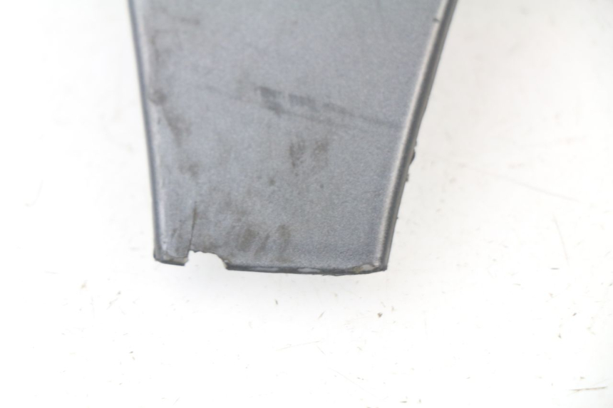 photo de OBERES VORDERTEIL PIAGGIO MP3 500 (2011 - 2015)