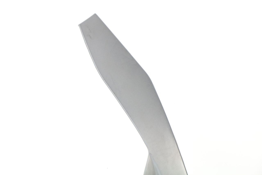 photo de OBERES VORDERTEIL PIAGGIO MP3 500 (2011 - 2015)