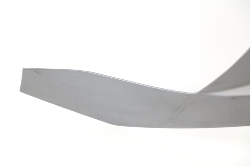 photo de OBERES VORDERTEIL PIAGGIO MP3 500 (2011 - 2015)